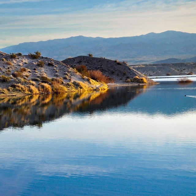 Lake Mohave shoreline