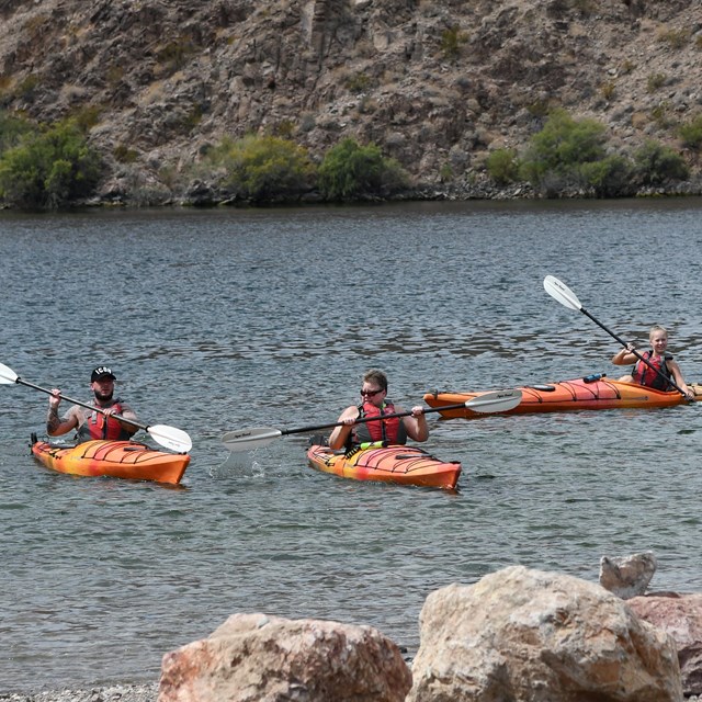 Three kayakers in the water. 