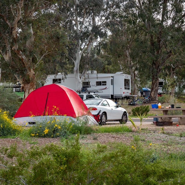 Tent in a lush campground. 