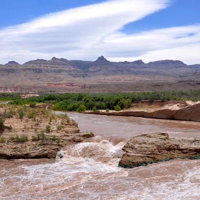 Desert landscape with a lake. 