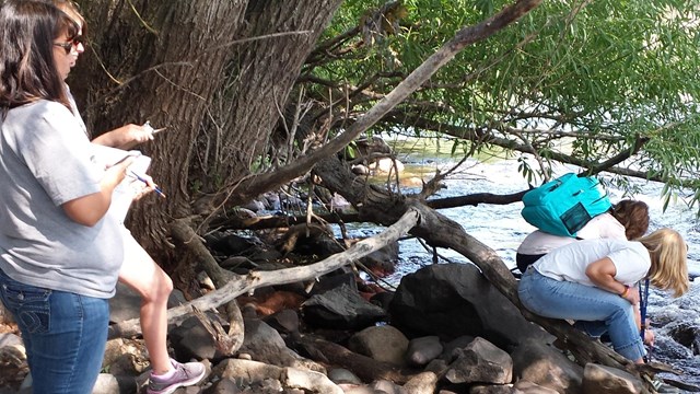 Two teachers stand on a cobbled river bank as two other teachers take water samples in the distance.