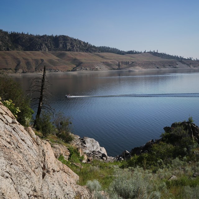 A motorboat leaves a widening wake as it crosses the lake with pine trees in the foreground.