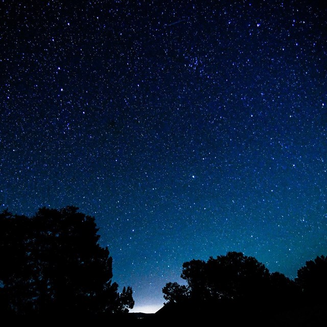 stars in a dark sky with silhouettes of trees in the foreground