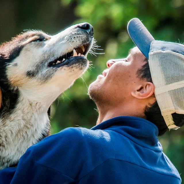 a smiling man in a ballcap pets a husky dog.