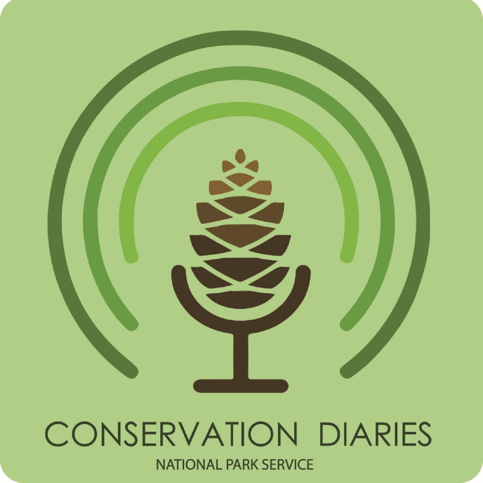 Graphic of a pinecone-shaped microphone with text reading 