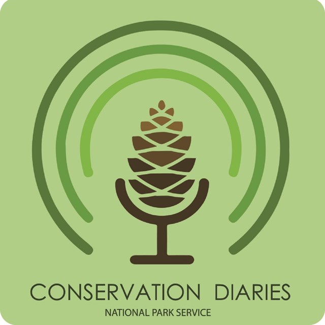 Graphic of a pinecone-shaped microphone with text reading 