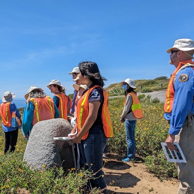 People stand by a stone memorial, in a field of sunflowers, overlooking the Pacific Ocean.