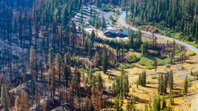 An aerial photo of a one-story visitor center and parking area surrounded by conifer forest. Most of