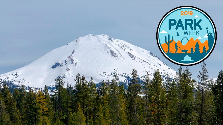 A snow-capped volcano above green trees