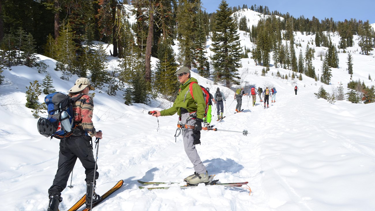 a skiier holding a beacon checkers as a ski group goes by on a winter route
