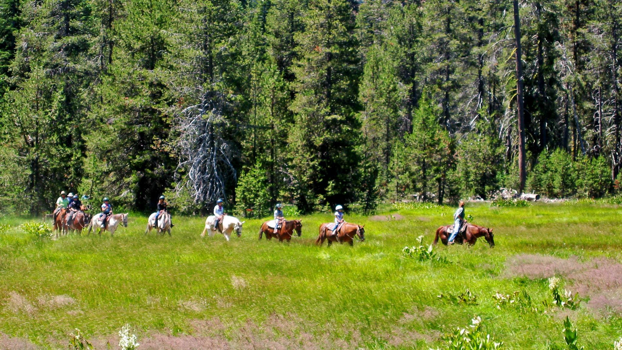 a line of horseback riders weave through a green meadow
