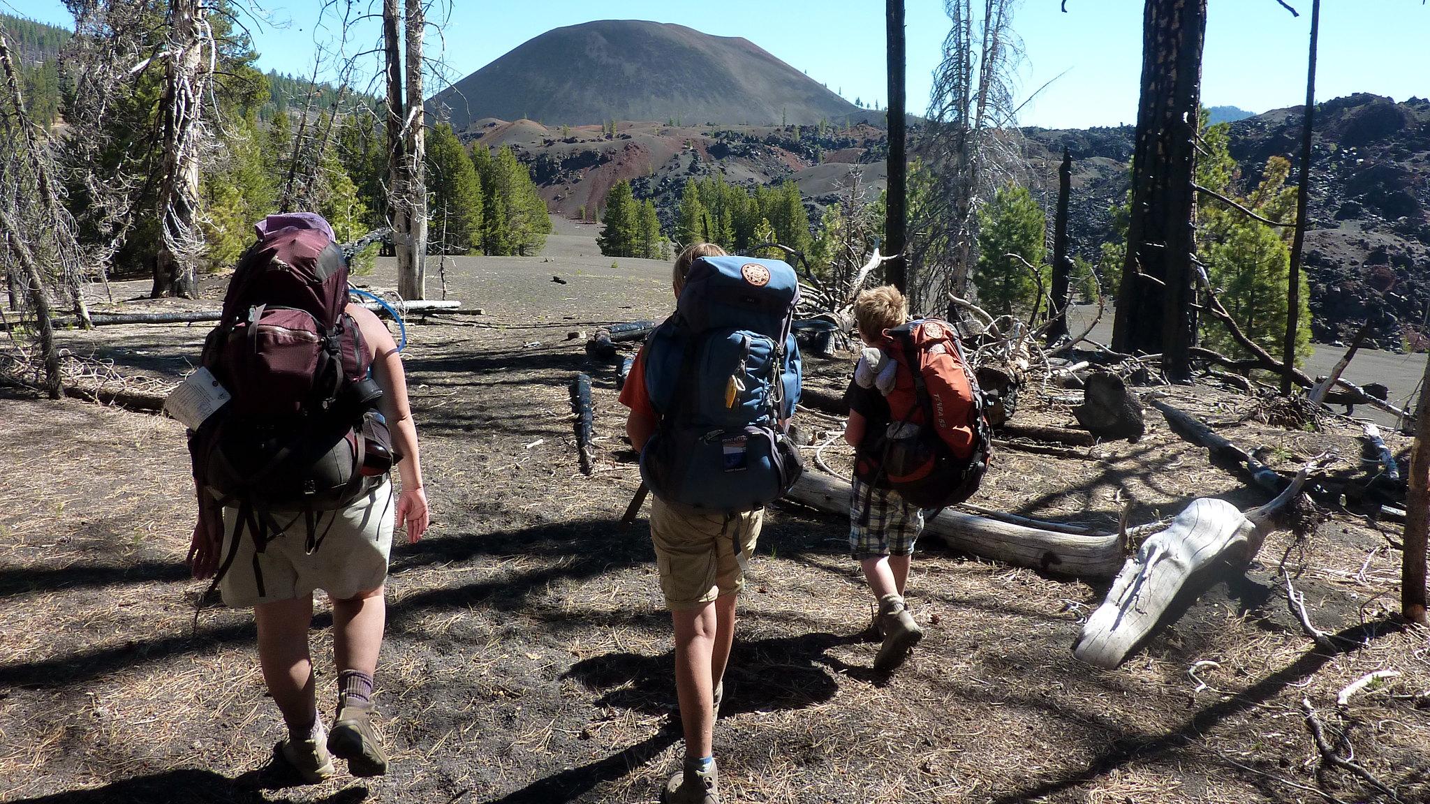 three people with large backpacks walking away from the camera through the woods