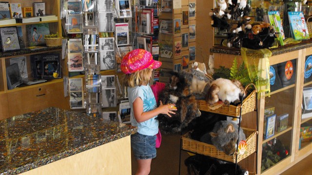 A girl holds a stuffed owl at a store