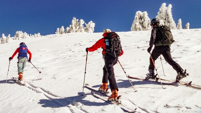 Skiers in Lassen's Backcountry