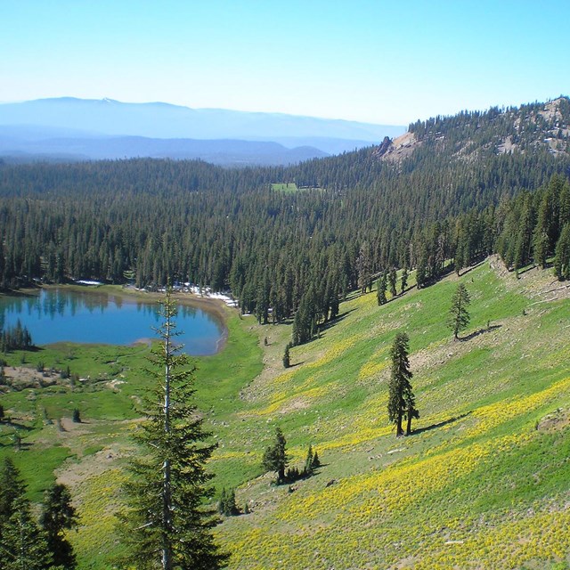 landscape scene with a lake, forest, and mountains