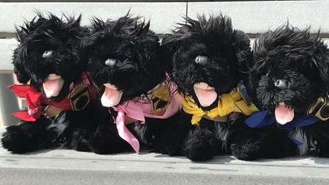 four stuffed pups
