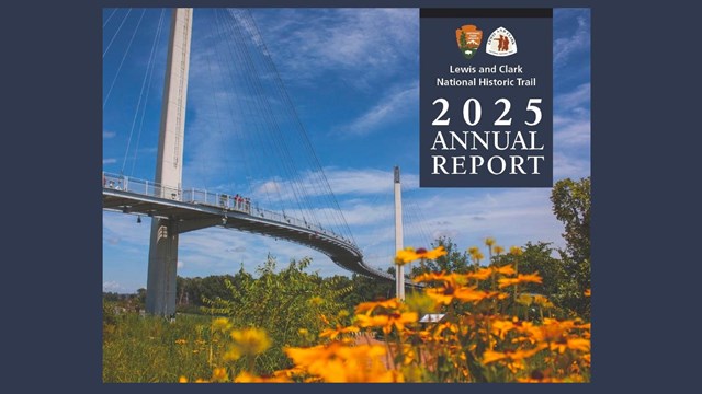 a bridge stretching over flowers