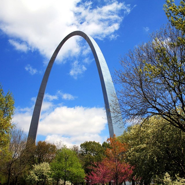 Gateway Arch with fall colors