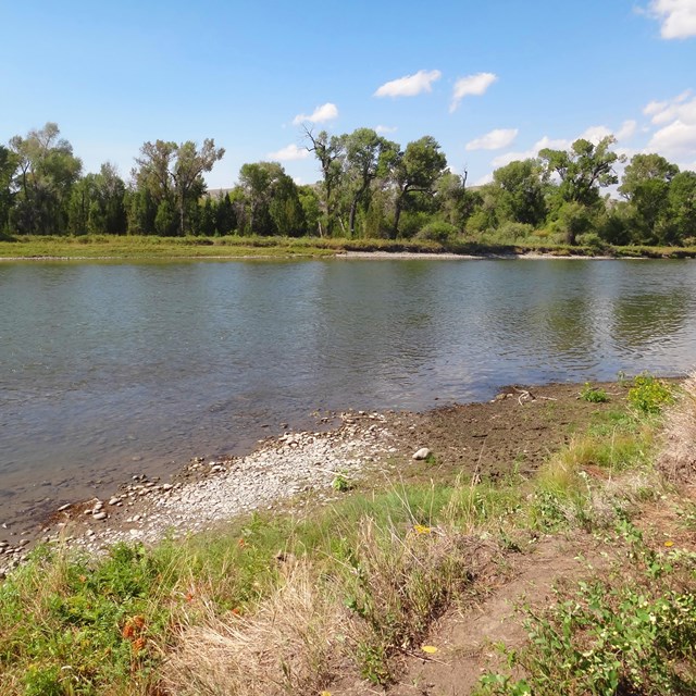 River with islands in the background