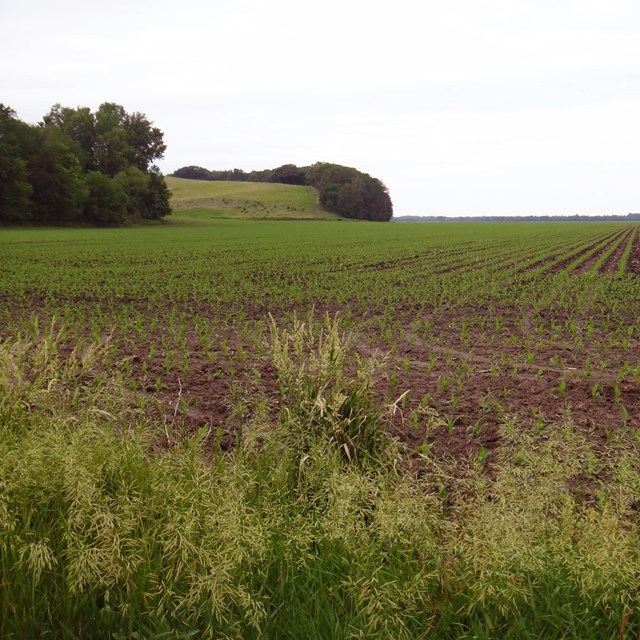 Farm field with grassy hill in the background