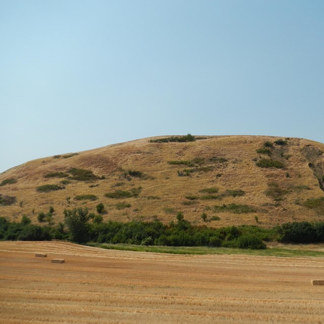 Yellow grass on plateau