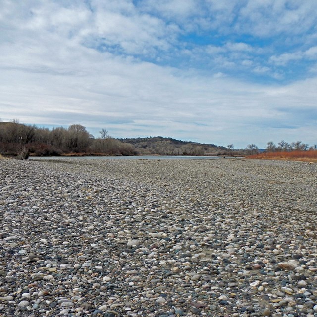 Rocky shore