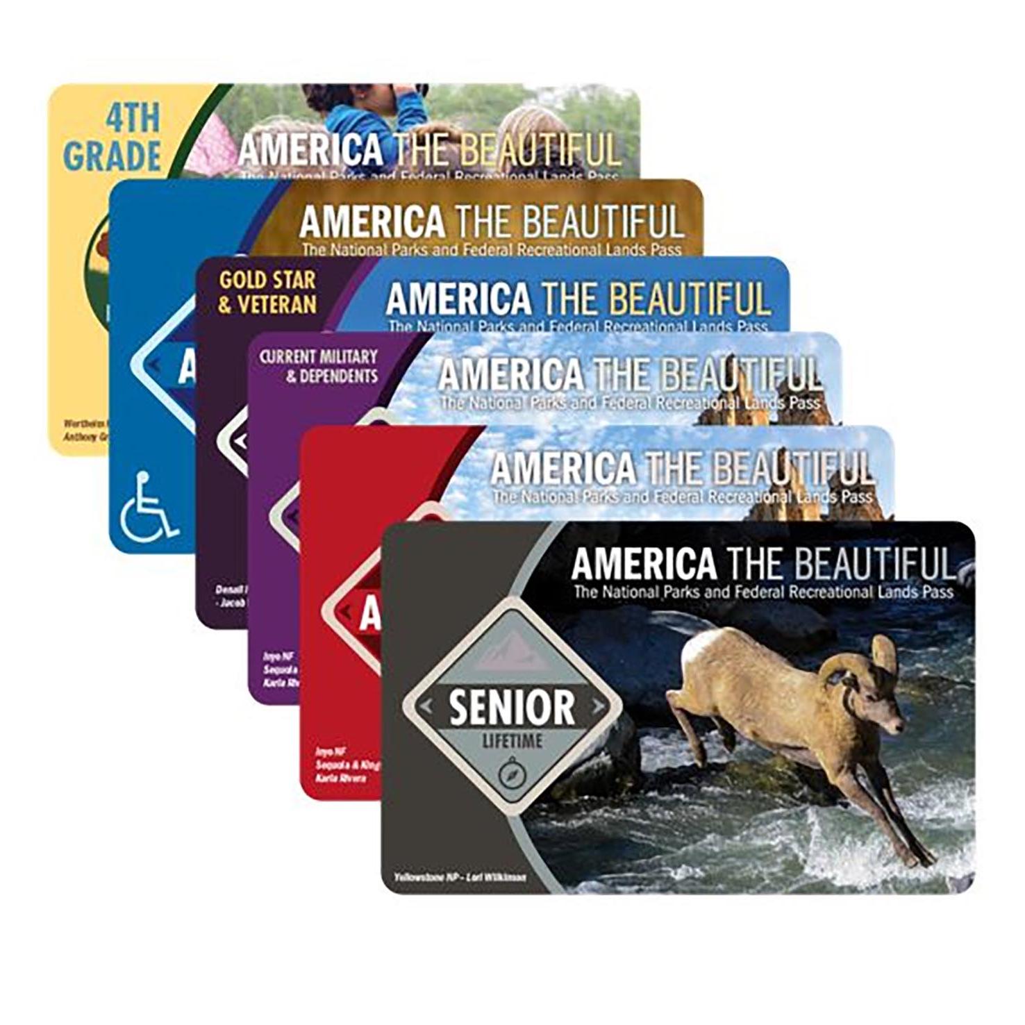 stacks of entrance fee cards