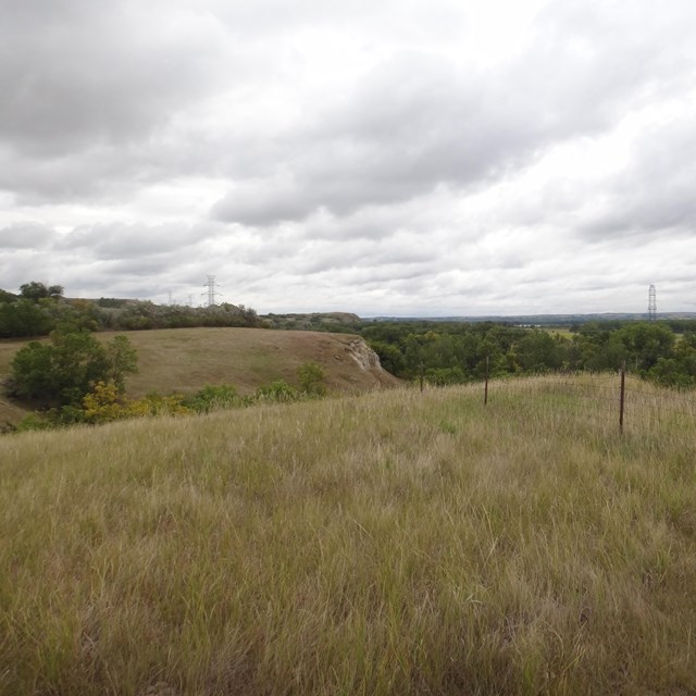 Grassy, rolling hill with cloudy sky