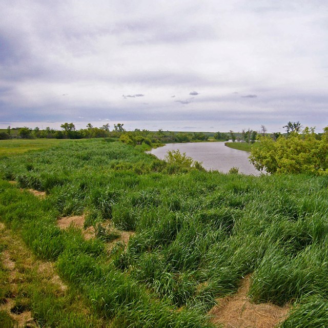 Grassy hill overlooking river