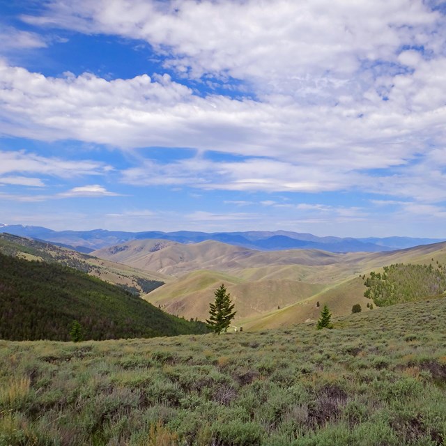 Mountain pass in the distance