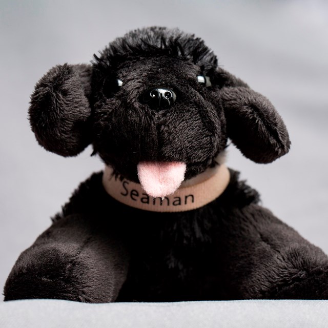 plush toy dog