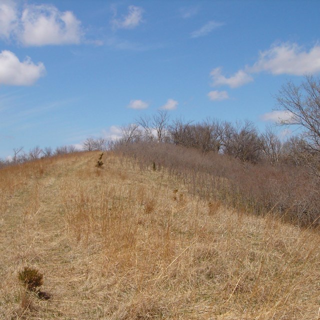 Photo looking up a bluff with blue sky