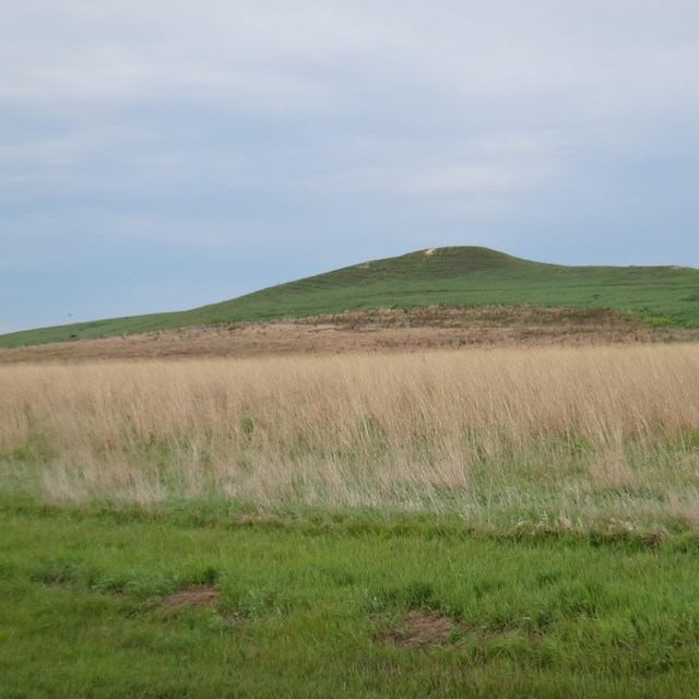 Spirit mound with yellow grass in the foreground