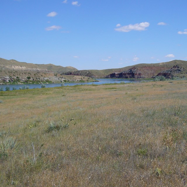 Grass field with river and mountains in the distance