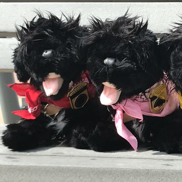 four stuffed pups 