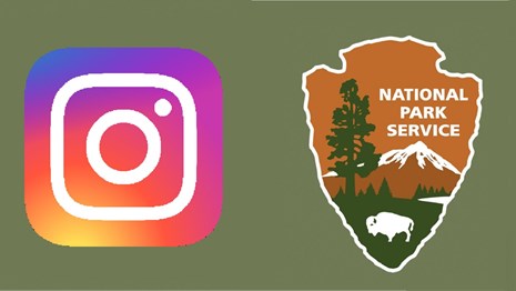 Green background with NPS logo on the right side and the instagram logo on the left side
