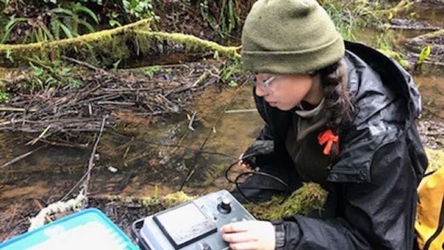 Biologist test water quality next to a stream