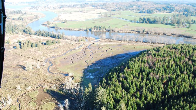 Flyover view of the river, estuary and forest