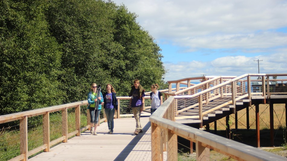 A group of 4 visitors hike along a boardwalk over a grassy area.