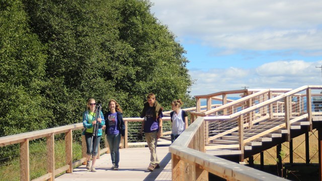 4 people walking on a boardwalk side by side over a grassy area. 