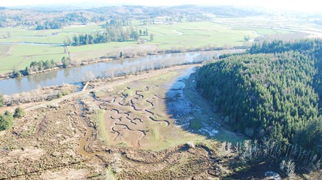 Aerial view of estuary restoration project area