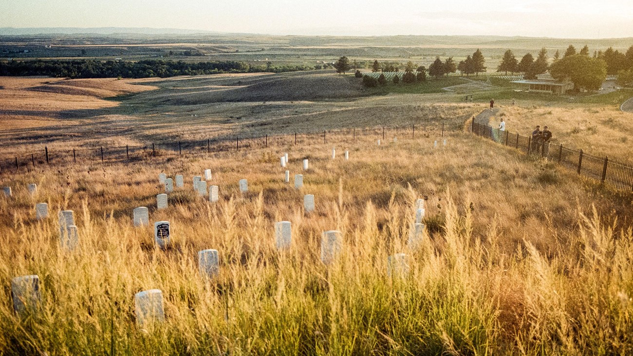 A rolling field punctuated by numerous grave markers in the foreground.
