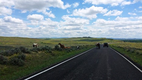 The tour road allows visitors to travel from the Visitor Center to the Reno-Benteen Memorial.