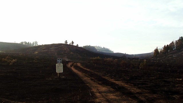 Grasslands are heavily influenced by fire. 