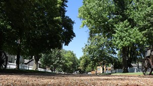 Image of the Lincoln Home Neighborhood