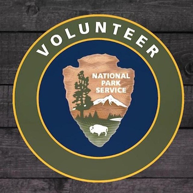 NPS volunteer logo