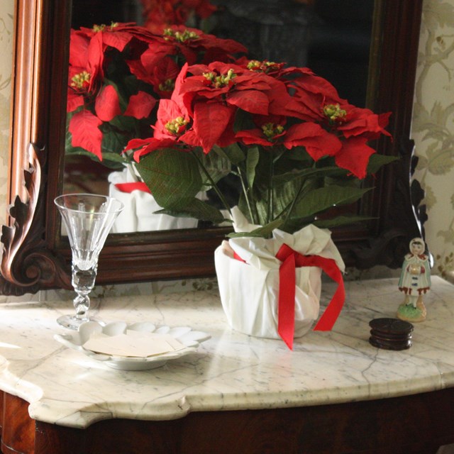 Poinsettia plant in a white case on a wooden, marble-topped table in front of a mirror.