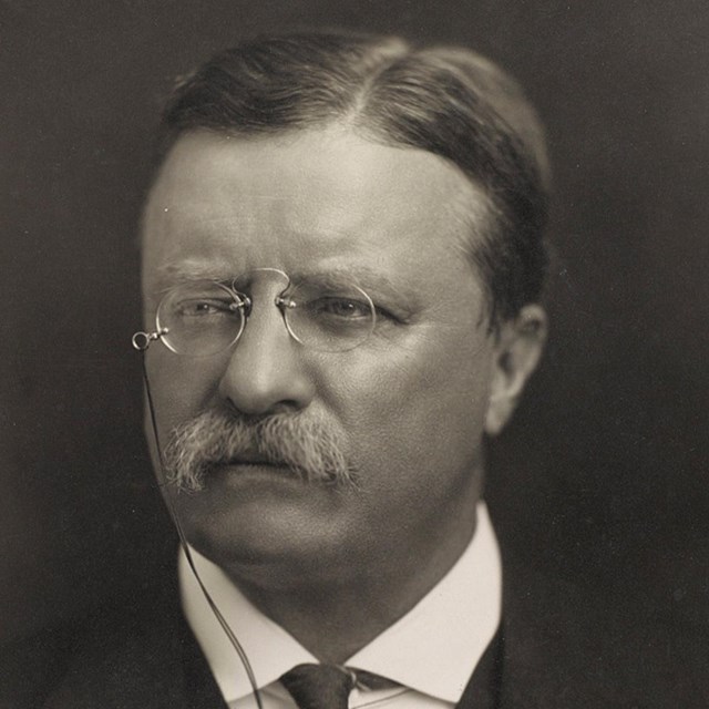 Portrait of Theodore Roosevelt: middle-aged man with short hair and spectacles on a cord