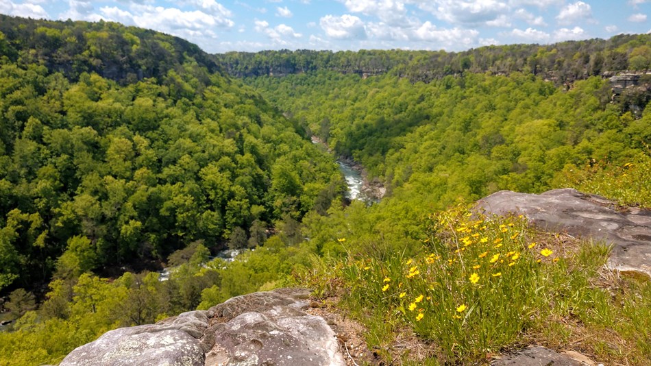 Little River Canyon National Reserve | Alabama National Parks