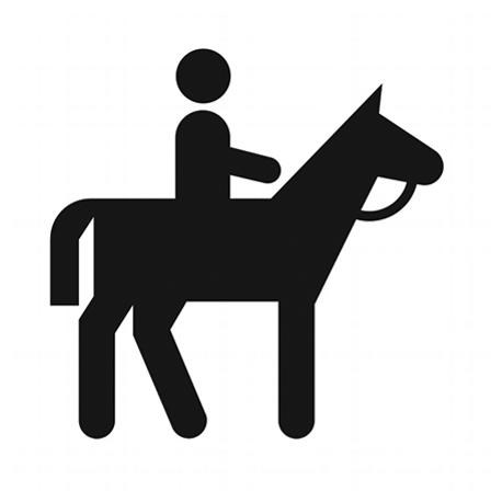 Horseback Riding Safety